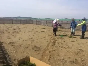 被災地の植林活動