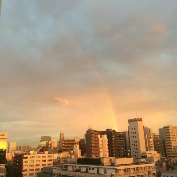 新宿のまちに虹がかかった！！！