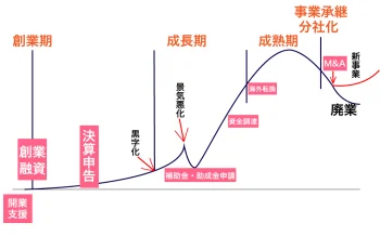 起業の成長タイミングとサポート