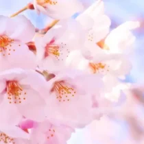 相続検定2級、受験しました!