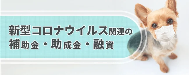 新型コロナウイルス関連の補助金・助成金・融資