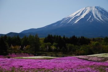 固定資産税の課税明細書と実際が違う場合は?