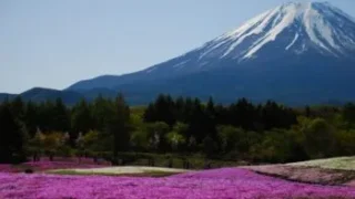 上場株式の相続手続きはいつの株価を使う？