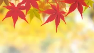 相続税申告には誰のマイナンバーが要るの？