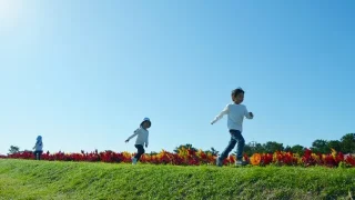 相続時精算課税制度とは？